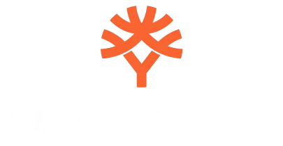 partners who work with BatBall11